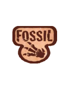 Fossil Set